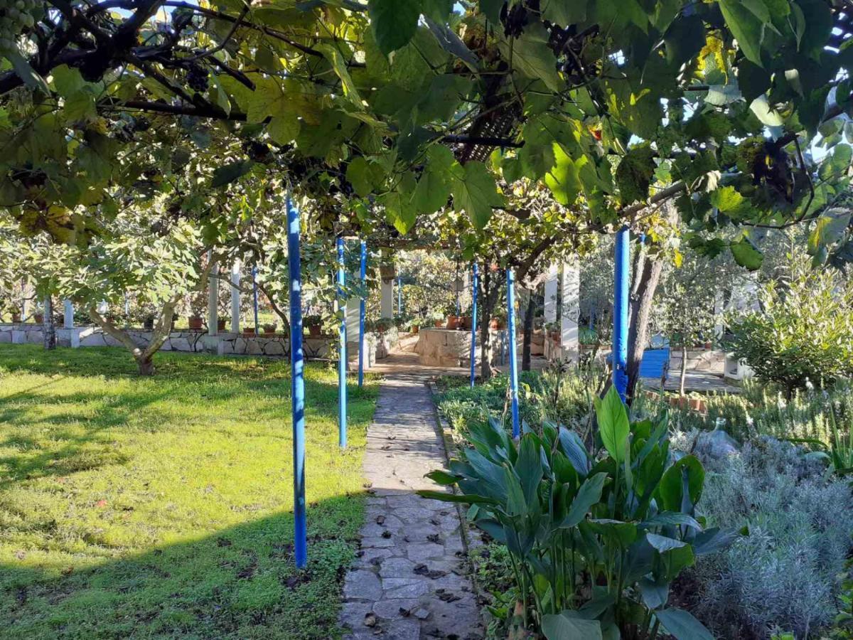 Apartments Rolovina Tivat Luaran gambar