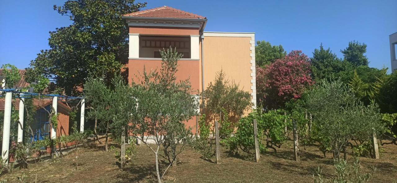 Apartments Rolovina Tivat Luaran gambar